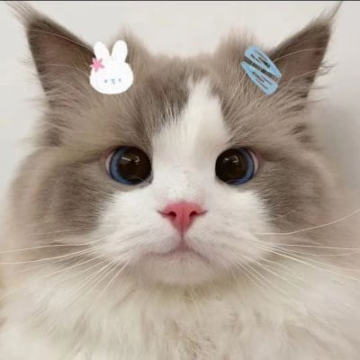 مریم ناصر avatar